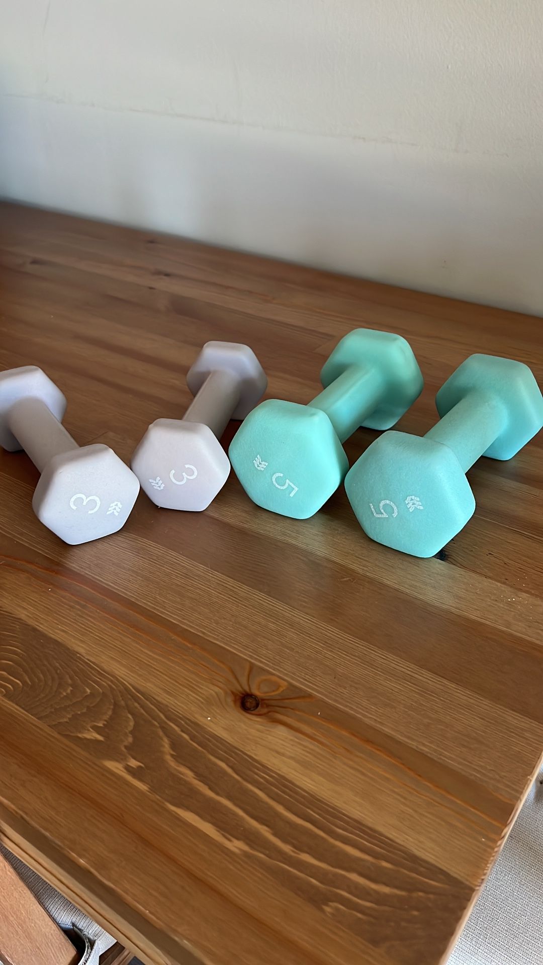 Set of Dumbbells – 3 lb & 5 lb Pairs