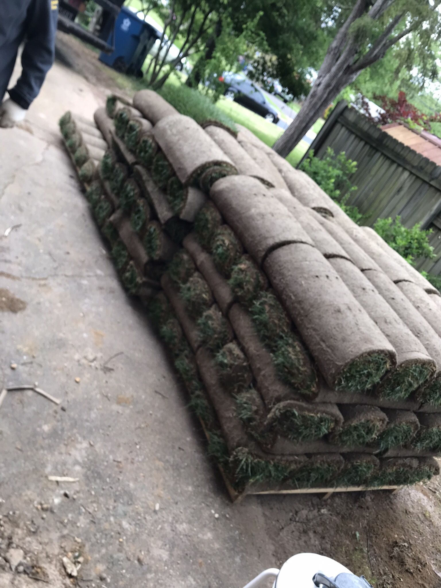 Fresh Sod
