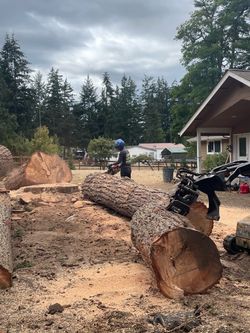 Free fire Wood in rounds and logs