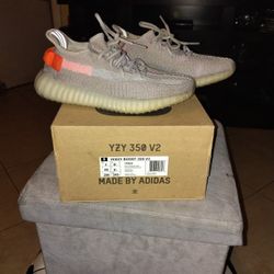 Yzy  350 V2