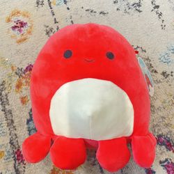 Squid Squishmallow, Squishmallow