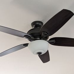 Ceiling Fan 