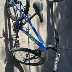 Schwinn thrasher mountain bike speed