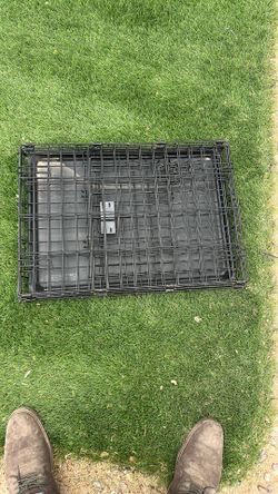 Small dog crate 24 inches long by 19 inches high and 17 inches wide