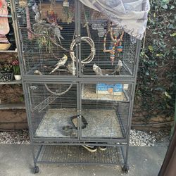 Jaula Para Pajaros 