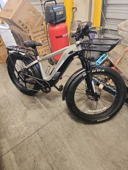 Electric bike