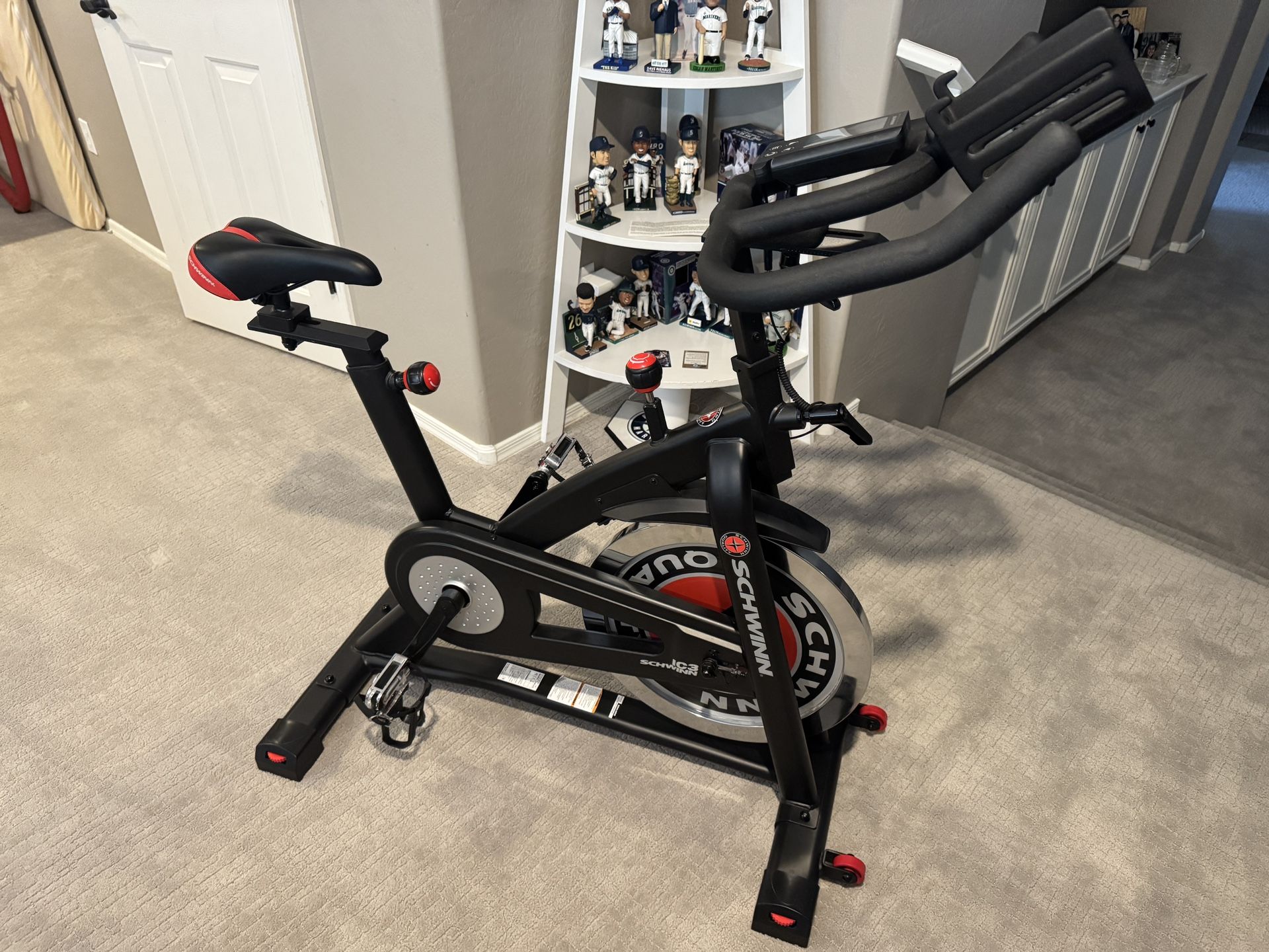 LIKE NEW Schwinn IC3 Indoor Bike