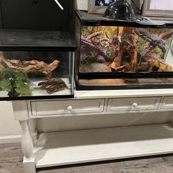 25 Gallons Lizard Tank Plus a 10 Gallons Tank.! 