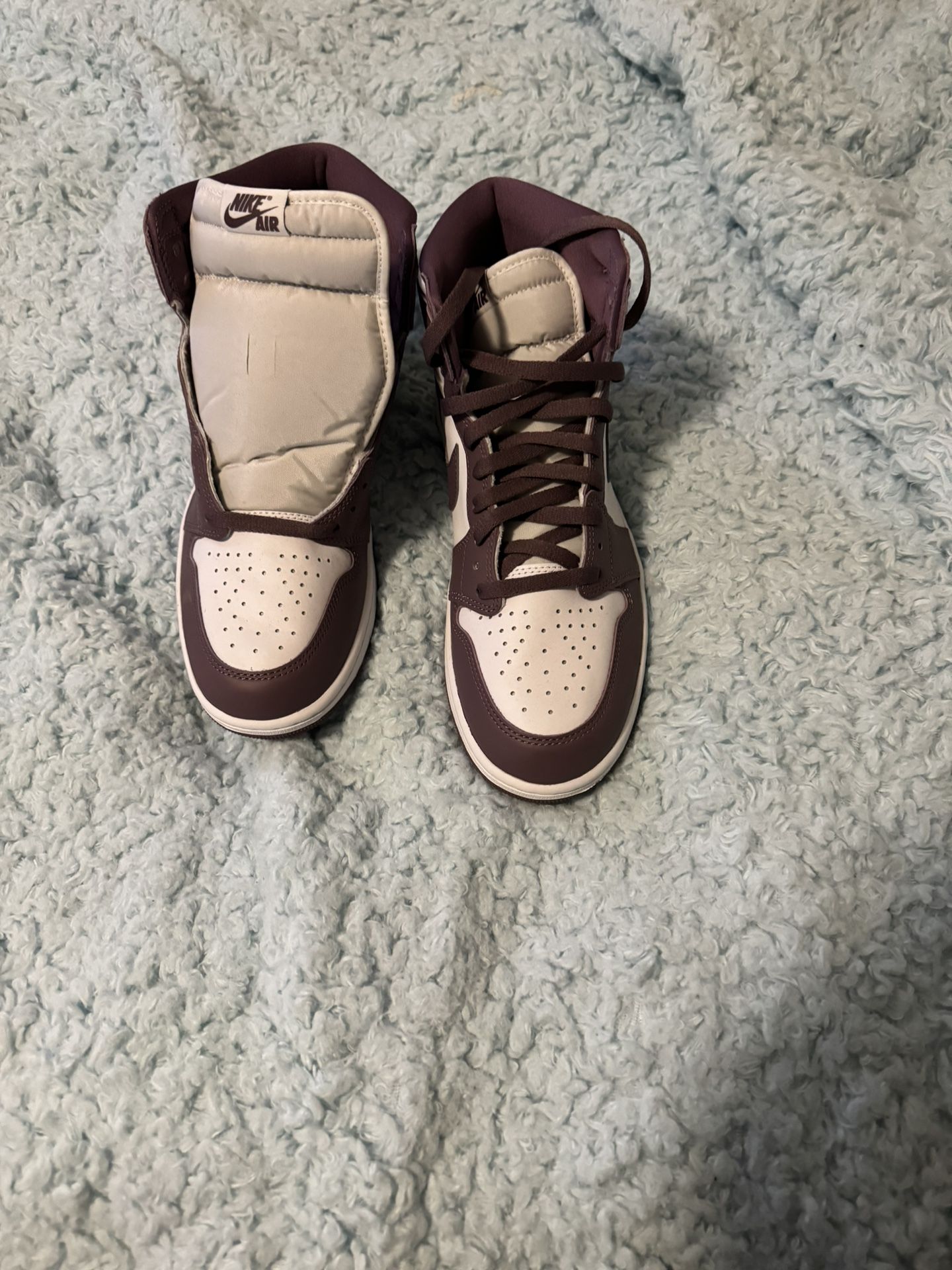 Jordan 1 “mauve”