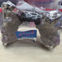 New Salt Water Rock For Fish Tank And Water Tester