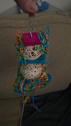 Bird toy