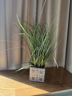 Decorative Fake Grass Plant 