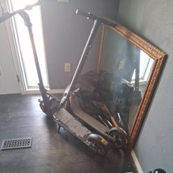 Segway And Ofher