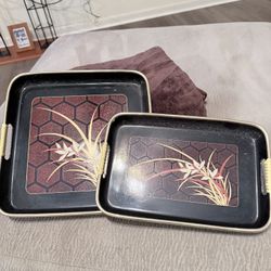 2 Small Serving Trays