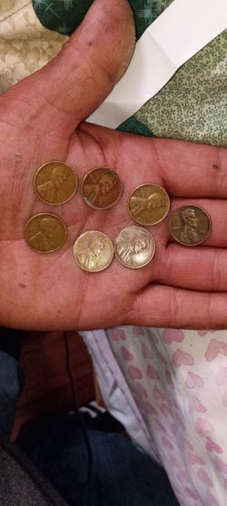 Collector old us coins