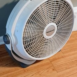 Fan