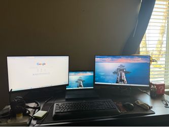Two HP HD 24” Monitors