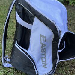 Easton Baseball Bag, Bat and Louisville Bat