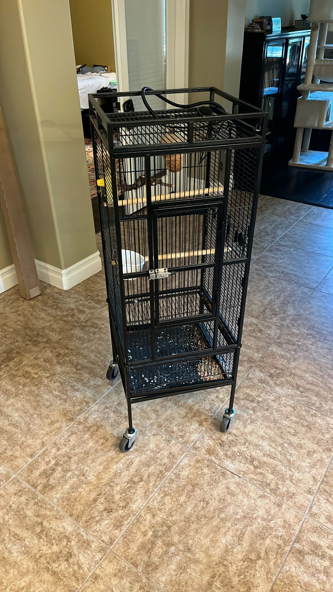 Bird Cage!