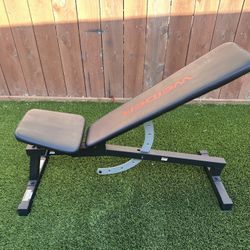 Weirder Weight Bench 
