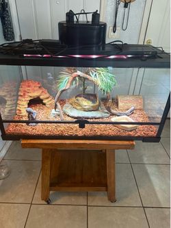 Reptile/Terrarium/Aquarium 50 Gallons front opening tank with accessories ( no animals included ) ( have more tanks available) *** Great condition ***