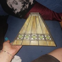 Vintage Antique Lamp Shade