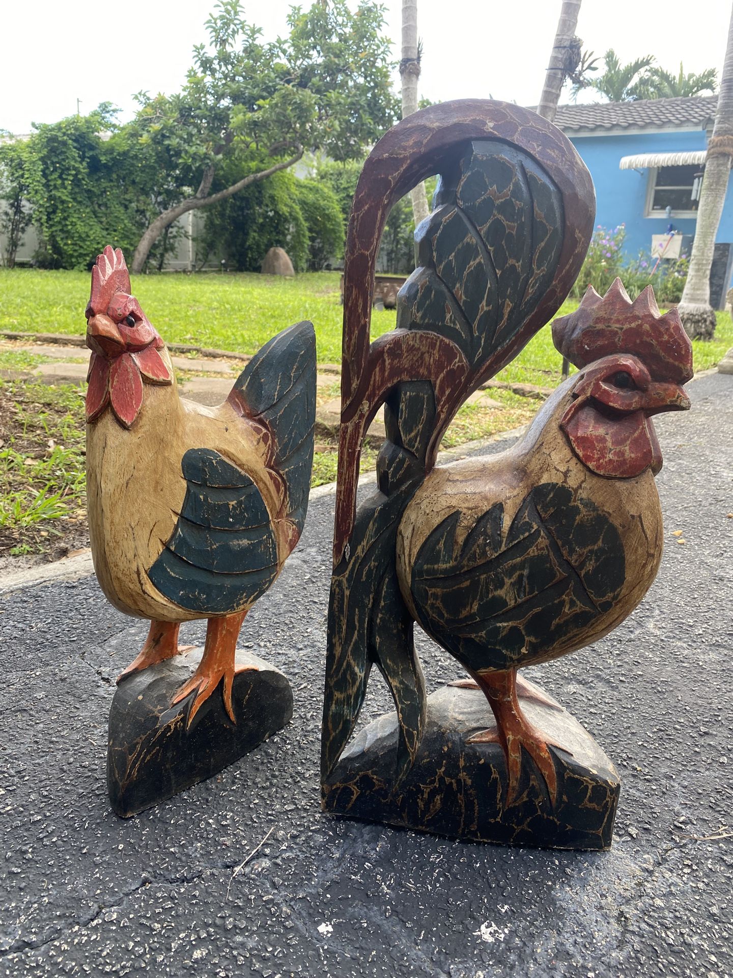 Rooster And Hen