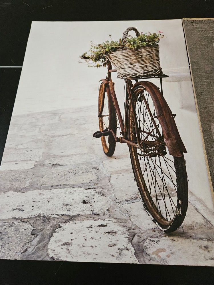 Ikea Bild Bycicle Grey Pictude Drawing Poster 2 Pack 20x30 Inches 19 3/4x27 1/2
