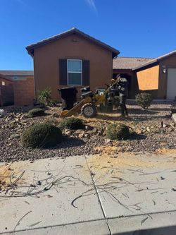 Stump grinder