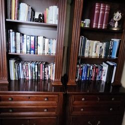 2 File Cabinet And Bookshelves