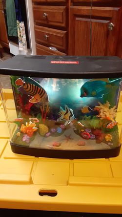 Electric Fish Tank no water