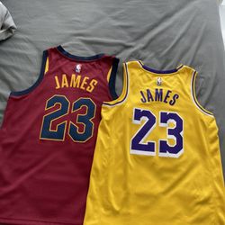 LeBron James Lakers Purple With Black And Gold Jersey! for Sale in Vero  Beach, FL - OfferUp