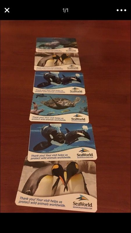 Sea World tickets (6)