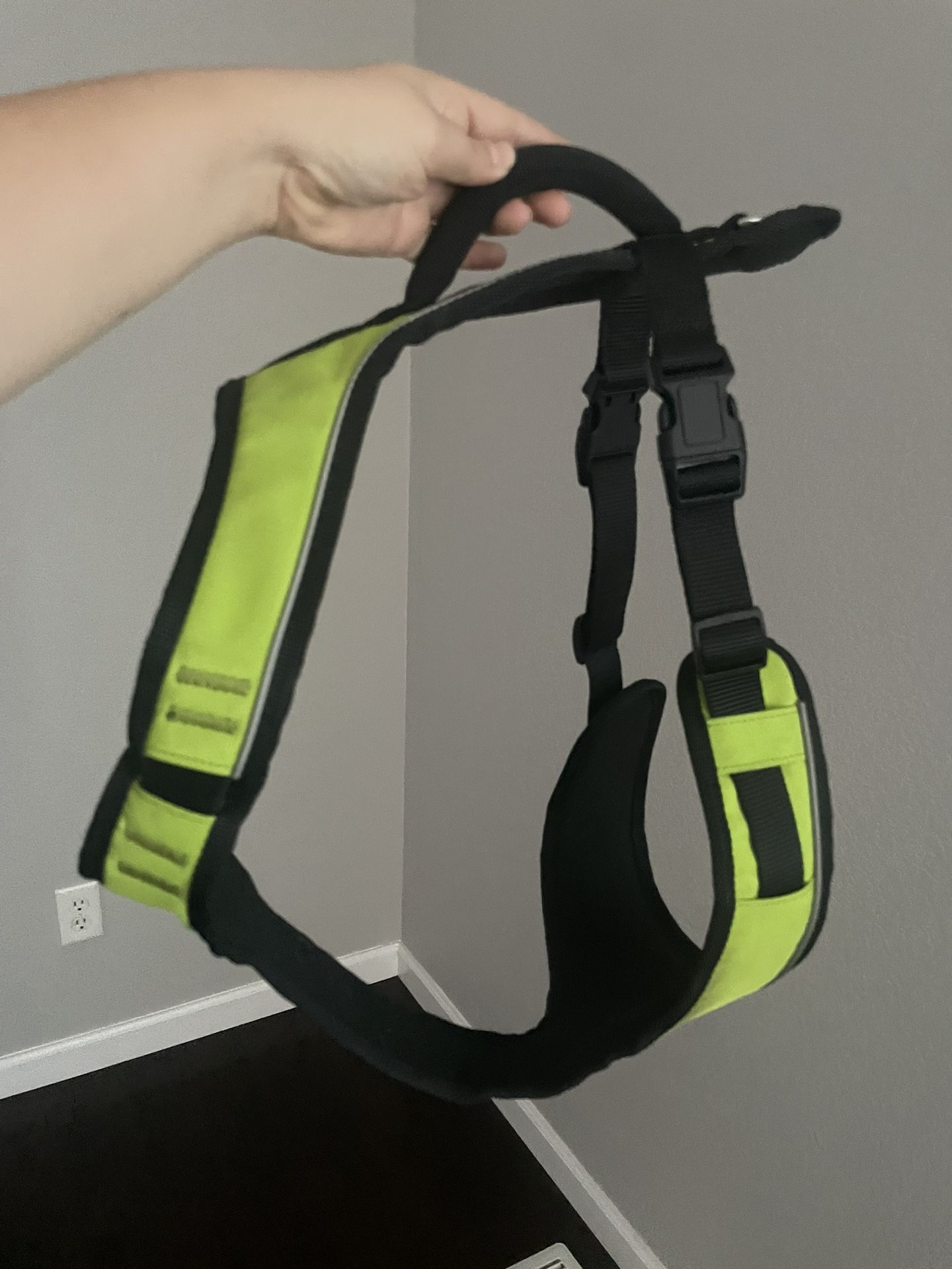 Dog Harness