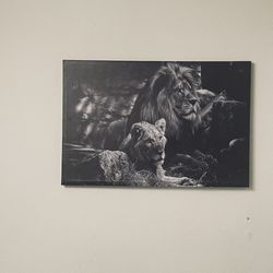 Grey lion Canvas Wall art 