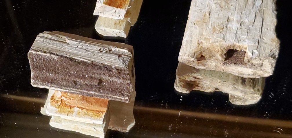 Petrified Wood W/Smokey Quartz Veins (10pc. Collection)