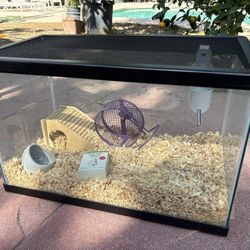 Hamster Cage 