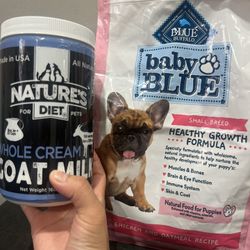 Food For Puppies 