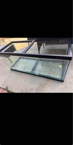 75 Gallon Aquarium Tank