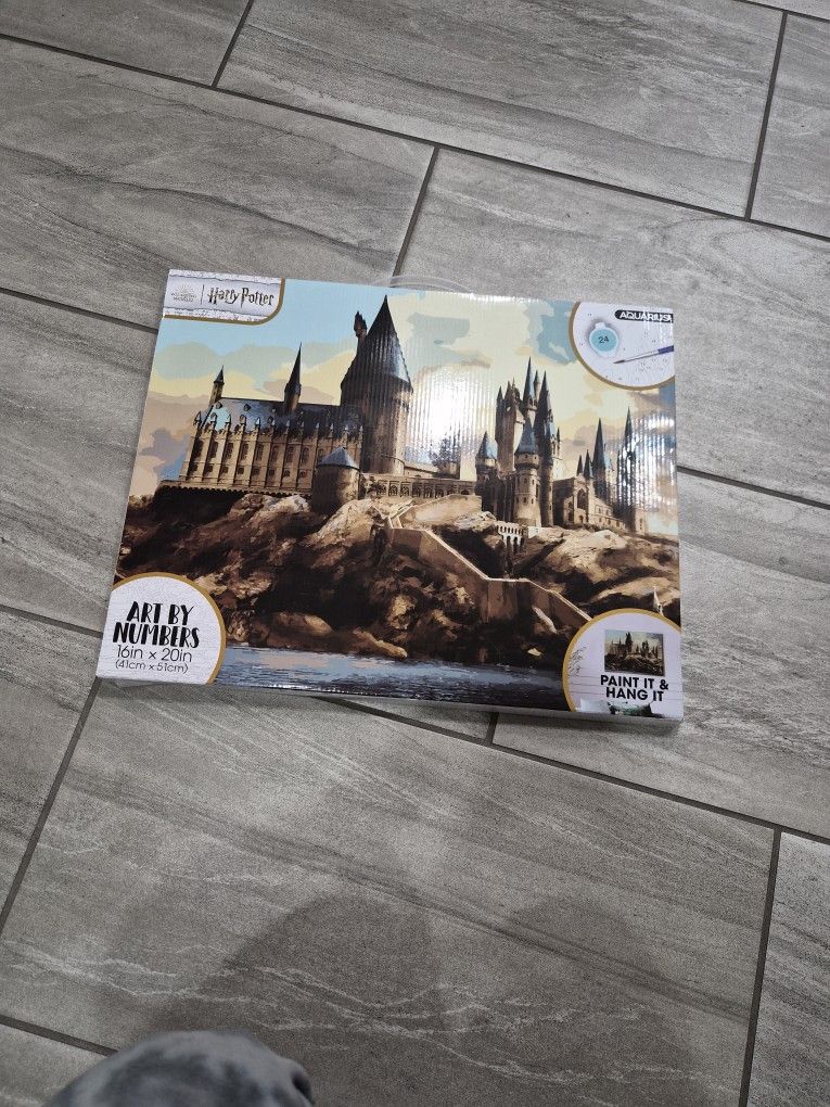 Harry Potter Hogwarts Paint By Numbers 