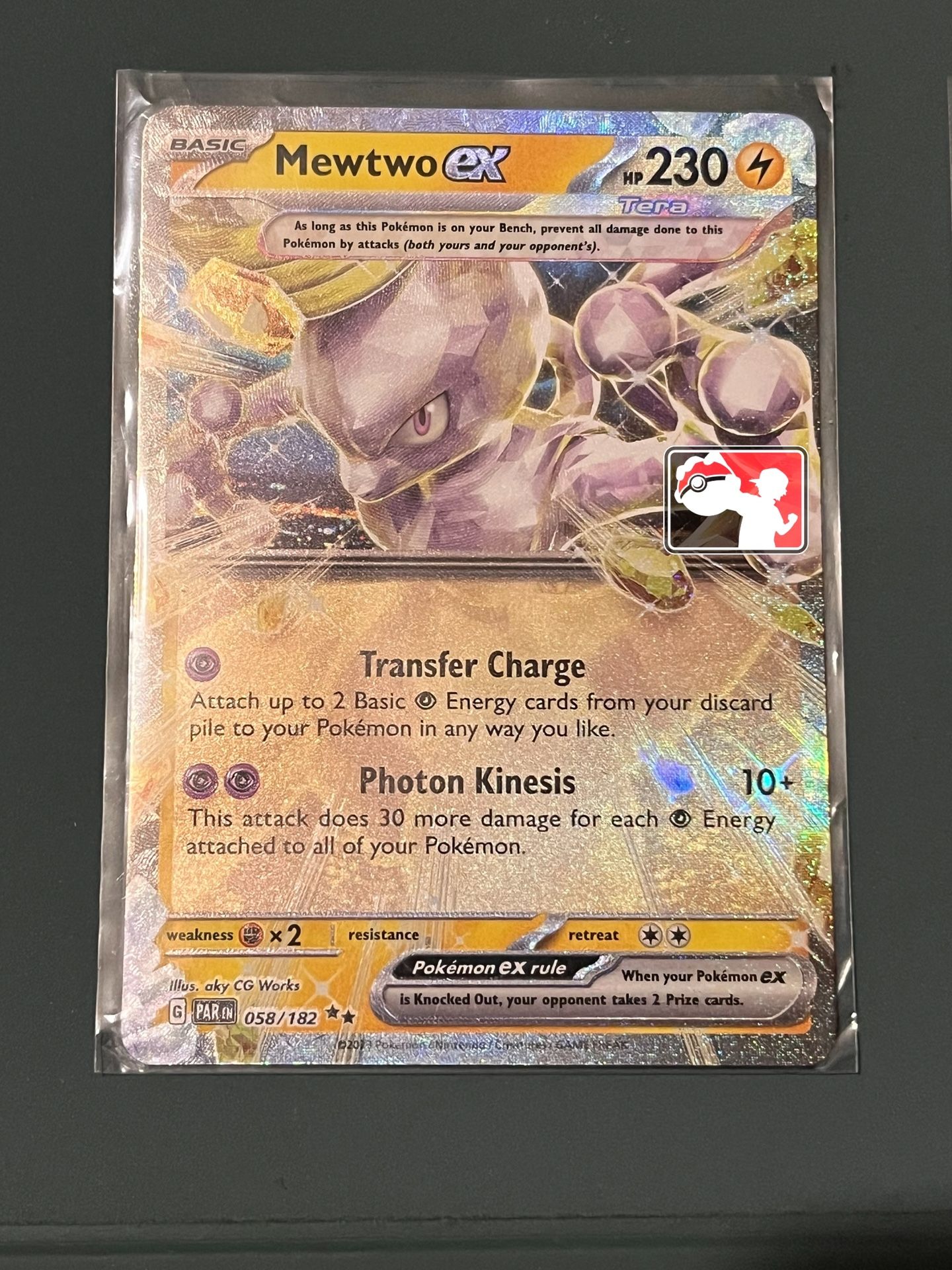 Pokemon Lot