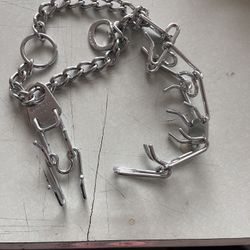 Dog training chain