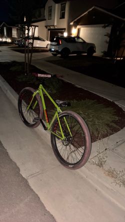 Mafia bomma single speed 29 inch (READ DESCRIPTION)