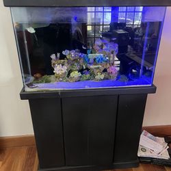 Fish Tank 50 Gallons (DECOR SOLD SEPARATE)