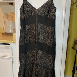 Black Lace Ann Taylor Loft Mermaid Dress