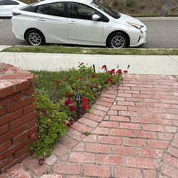 2016 Toyota Prius Two.  Salvage 