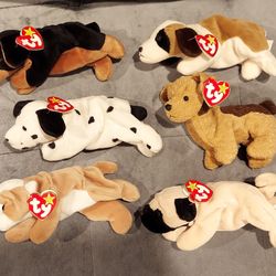 NWT TY TOYS BEANIE BABIES RARE 6 DOG BUNDLE ORIGINAL 1996 RETIRED VINTAGE COLLECTIBLES. ALL ARE IN MINT CONDITION ALL HAND TAGS ARE IN MINT CONDITION.