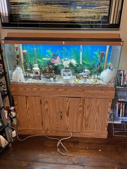 Fish/Reptile Tank 60 Gal