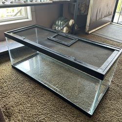 Fish Tank 