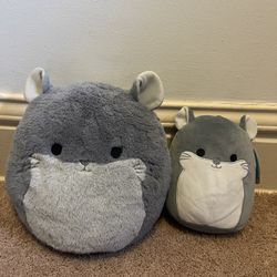 Chinchilla Squishmallows Set